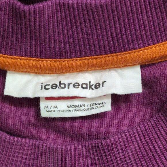 Icebreaker Purple Long Sleeve Crew Neck 200 Merino Cotton Wool Sweatshirt Size M - Picture 5 of 11